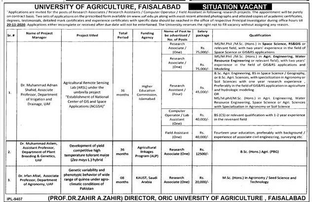 UAF Faisalabad Jobs in The University of Agriculture