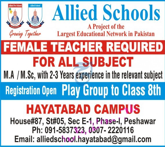 Allied School Jobs in Hayatabad Campus Peshawar