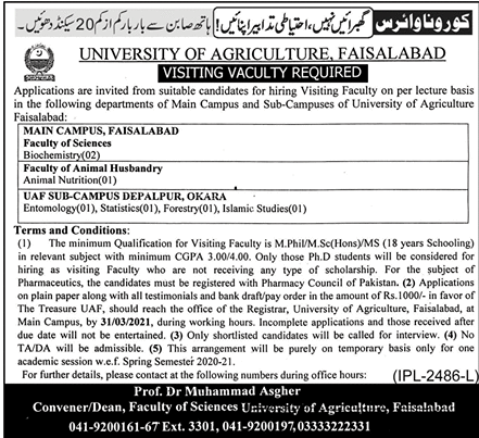 Visiting Faculty Required in University of Agriculture